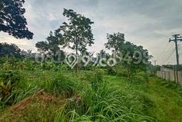 Lahan Investasi Lokasi Banyuputih Batang SHM Lahan Investasi Lokasi Banyuputih Batang SHM