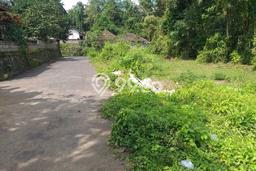 Tanah Komersial Dijual di Abiansemal Badung 100m2 Tanah Komersial Dijual di Abiansemal Badung 100m2