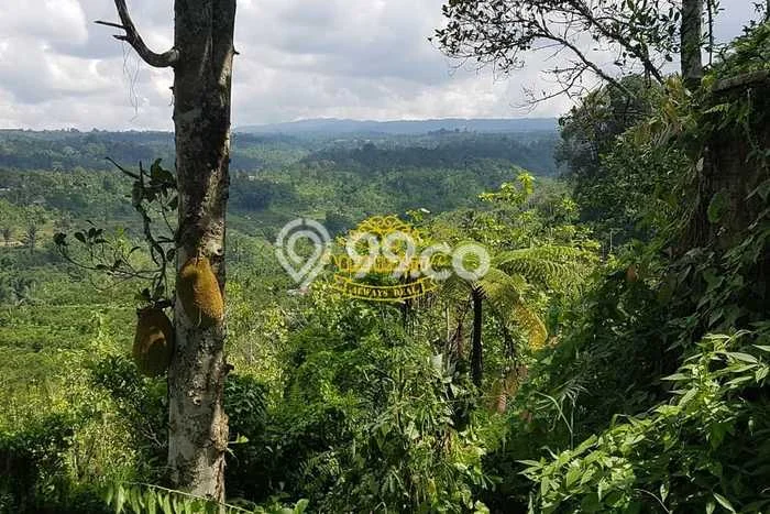Tanah Dijual Lokasi Payangan Gianyar SHM Tanah Dijual Lokasi Payangan Gianyar SHM