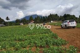 Lahan Investasi Lokasi Megamendung Bogor SHM Lahan Investasi Lokasi Megamendung Bogor SHM