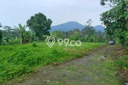 Untuk Dijual Tanah di Penebel Tabanan Luas 15000m2 SHM Untuk Dijual Tanah di Penebel Tabanan Luas 15000m2 SHM