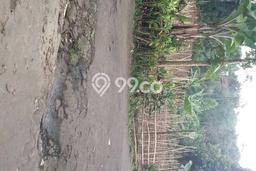 Lahan untuk Dijual Lokasi Cicurug, Sukabumi Luas 2000m2 SHM Lahan untuk Dijual Lokasi Cicurug, Sukabumi Luas 2000m2 SHM