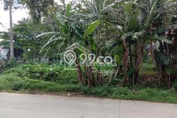 Tanah untuk Dijual Lokasi Ngaliyan, Semarang Luas 2902m2 SHM Tanah untuk Dijual Lokasi Ngaliyan, Semarang Luas 2902m2 SHM
