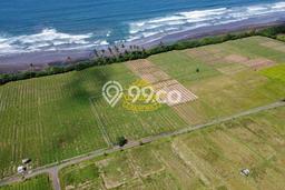Tanah Dijual Lokasi Pekutatan Jembrana SHM Tanah Dijual Lokasi Pekutatan Jembrana SHM