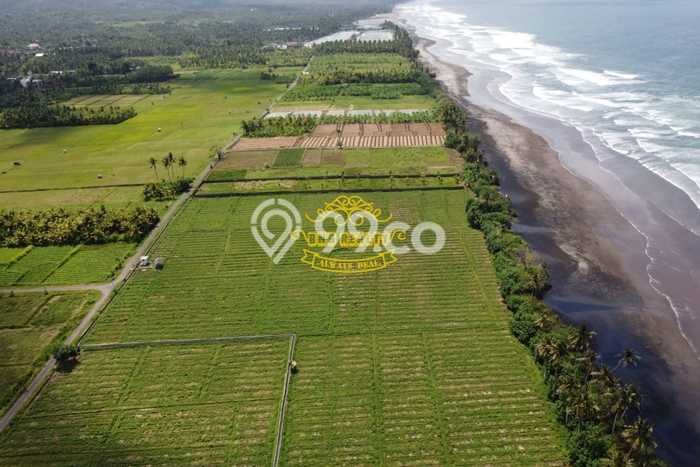 Tanah Dijual Lokasi Pekutatan Jembrana SHM Tanah Dijual Lokasi Pekutatan Jembrana SHM