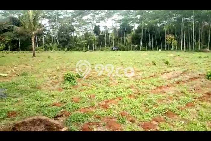 Lahan Dijual Lokasi Banyuputih, Batang dengan Luas Tanah 6194m2 dan Status SHM Lahan Dijual Lokasi Banyuputih, Batang dengan Luas Tanah 6194m2 dan Status SHM