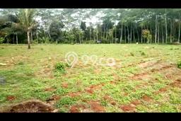 Lahan Dijual Lokasi Banyuputih, Batang dengan Luas Tanah 6194m2 dan Status SHM Lahan Dijual Lokasi Banyuputih, Batang dengan Luas Tanah 6194m2 dan Status SHM