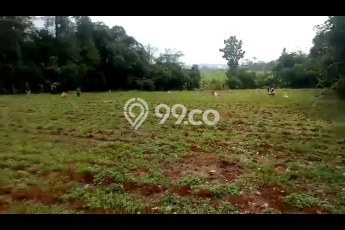 Lahan Dijual Lokasi Banyuputih, Batang dengan Luas Tanah 6194m2 dan Status SHM Lahan Dijual Lokasi Banyuputih, Batang dengan Luas Tanah 6194m2 dan Status SHM