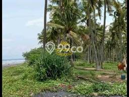 Tanah Siap Bangun Dijual di Jembrana Punya Luas 20000m2 Tanah Siap Bangun Dijual di Jembrana Punya Luas 20000m2