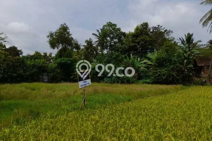 Lahan Strategis di Citangkil Dijual dengan Luas 778m2 Lahan Strategis di Citangkil Dijual dengan Luas 778m2