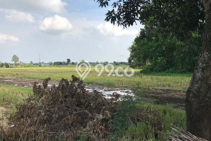 Kavling Tanah untuk Dijual di Jombang Kota, Jombang, Luas 20000m2 Kavling Tanah untuk Dijual di Jombang Kota, Jombang, Luas 20000m2