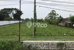 Tanah untuk Dijual Lokasi Ploso, Jombang Luas 17000m2 - Tanah untuk Dijual Lokasi Ploso, Jombang Luas 17000m2 -