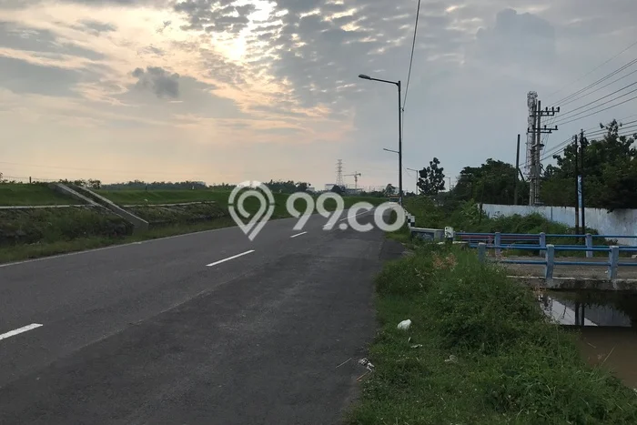Tanah Dijual Lokasi Ploso, Jombang Luas 17000m2 Legalitas Aman Tanah Dijual Lokasi Ploso, Jombang Luas 17000m2 Legalitas Aman