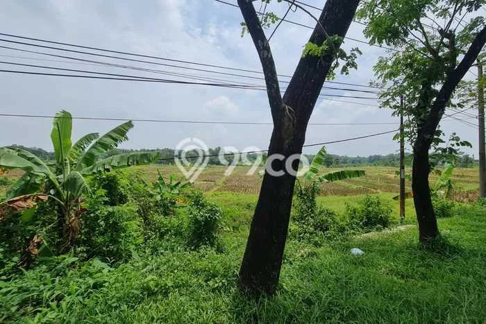 Tanah Kavling untuk Dijual di Cibogo Subang 1e+06m2 Tanah Kavling untuk Dijual di Cibogo Subang 1e+06m2
