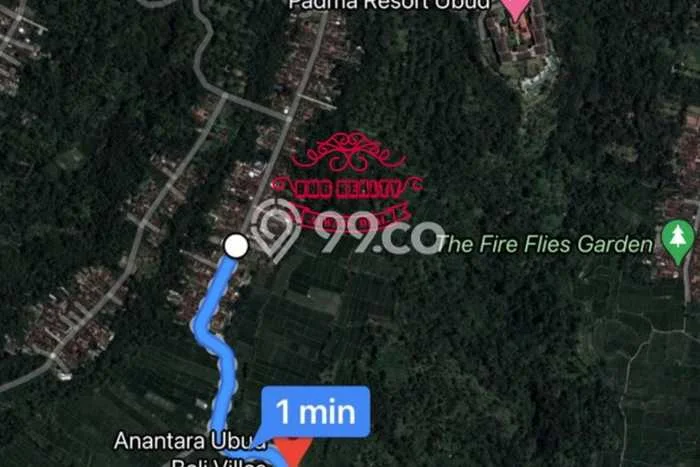 Dijual Tanah Lokasi Puhu, Gianyar Seluas 32200m2 Dijual Tanah Lokasi Puhu, Gianyar Seluas 32200m2
