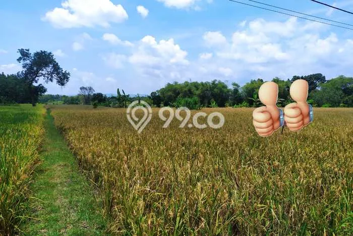 Kavling Tanah Dijual di Mejayan, Madiun, Luas 14425m2 Area Strategis Kavling Tanah Dijual di Mejayan, Madiun, Luas 14425m2 Area Strategis