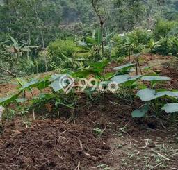 Lahan Kosong Dijual di Sukabumi dengan Area 2000m2 Lahan Kosong Dijual di Sukabumi dengan Area 2000m2