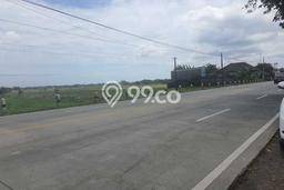 Kavling Tanah Dijual di Gending, Probolinggo, Luas 50000m2 Area Strategis Kavling Tanah Dijual di Gending, Probolinggo, Luas 50000m2 Area Strategis