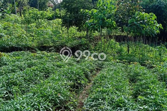 Tanah Kavling Dijual di Ujungberung, Bandung dengan Luas Tanah 1371m2 Tanah Kavling Dijual di Ujungberung, Bandung dengan Luas Tanah 1371m2