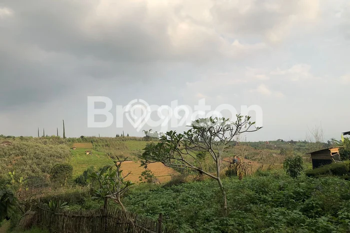 Tanah di Bumiaji, Luas 1446m², Area Potensial Tanah di Bumiaji, Luas 1446m², Area Potensial