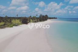Tanah Kavling Dijual di Tanjung Tinggi, Belitung dengan Luas Tanah 14701m2 Tanah Kavling Dijual di Tanjung Tinggi, Belitung dengan Luas Tanah 14701m2