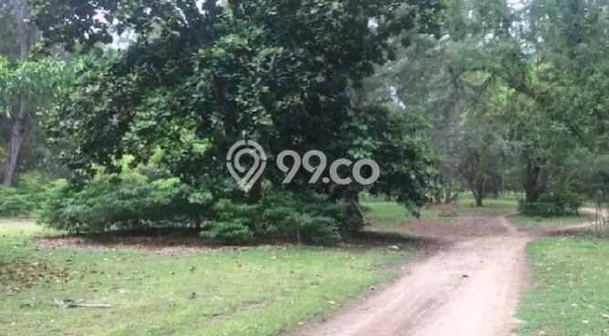 Tanah Komersial Dijual di Pandawai Sumba Timur 23950m2 Tanah Komersial Dijual di Pandawai Sumba Timur 23950m2