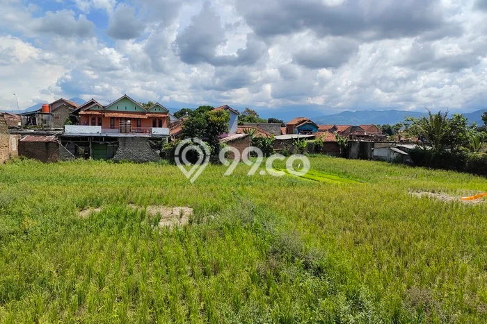 Lahan Dijual Lokasi Katapang, Bandung dengan Luas Tanah 3400m2 dan Status SHM Lahan Dijual Lokasi Katapang, Bandung dengan Luas Tanah 3400m2 dan Status SHM