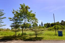 HOT DEAL! Tanah Kawasan , Luas 1681m2m², Area Strategis HOT DEAL! Tanah Kawasan , Luas 1681m2m², Area Strategis