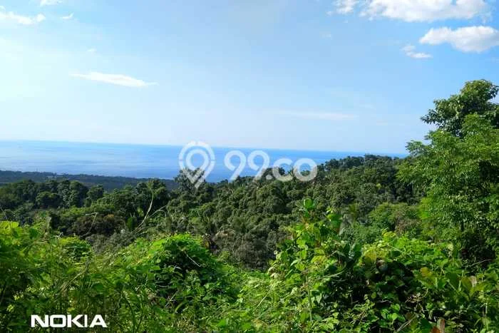 Jarang Ada! Tanah di Kubutambahan Punya Luas 12400m2 SHM Jarang Ada! Tanah di Kubutambahan Punya Luas 12400m2 SHM