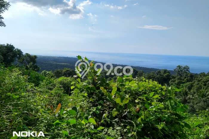 Jarang Ada! Tanah di Kubutambahan Punya Luas 12400m2 SHM Jarang Ada! Tanah di Kubutambahan Punya Luas 12400m2 SHM