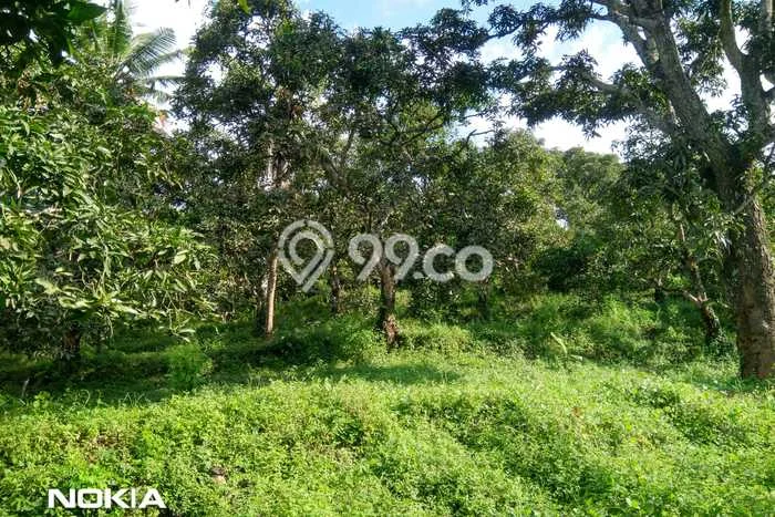 Jarang Ada! Tanah di Kubutambahan Punya Luas 12400m2 SHM Jarang Ada! Tanah di Kubutambahan Punya Luas 12400m2 SHM