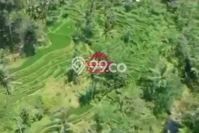 Untuk Dijual Tanah 30000m2 di Taro, Gianyar Untuk Dijual Tanah 30000m2 di Taro, Gianyar