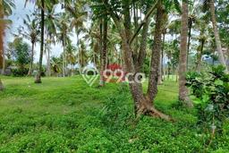 Tanah Kavling untuk Dijual di Selemadeg Tabanan 9000m2 Tanah Kavling untuk Dijual di Selemadeg Tabanan 9000m2