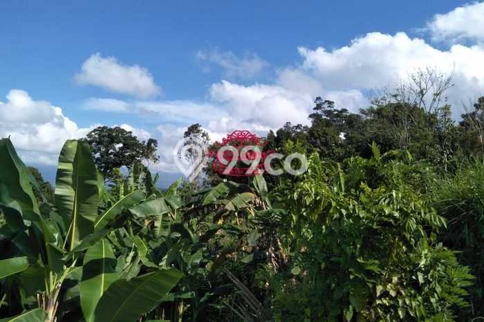 Dijual Tanah Lokasi Puhu, Gianyar Seluas 20000m2 Dijual Tanah Lokasi Puhu, Gianyar Seluas 20000m2
