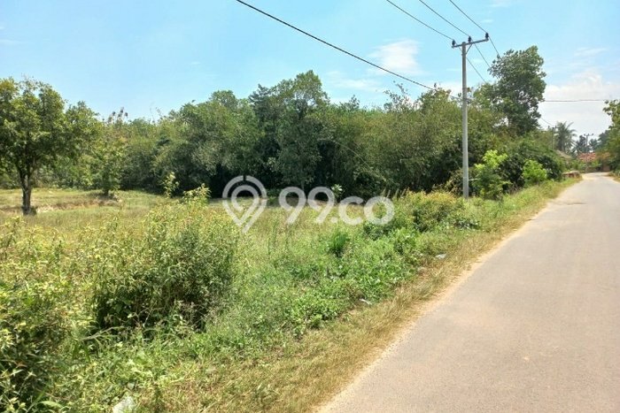 Tanah Kavling untuk Dijual di Natar Lampung Selatan 5000m2 Tanah Kavling untuk Dijual di Natar Lampung Selatan 5000m2