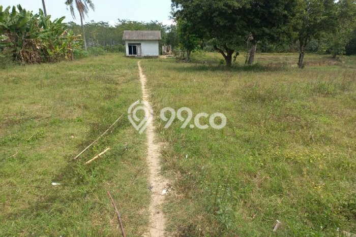 Tanah Kavling untuk Dijual di Natar Lampung Selatan 5000m2 Tanah Kavling untuk Dijual di Natar Lampung Selatan 5000m2