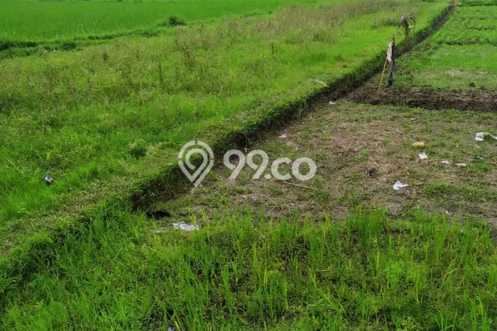 Kavling Tanah Lokasi Strategis di Ubud, Gianyar Disewakan 1200m2 Kavling Tanah Lokasi Strategis di Ubud, Gianyar Disewakan 1200m2