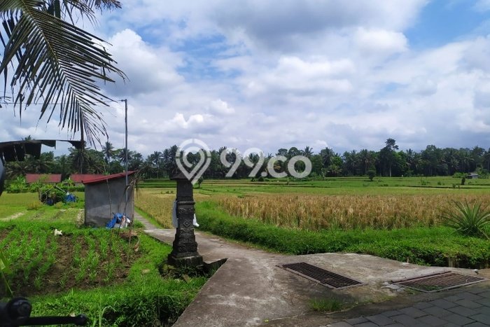 Kavling Tanah Lokasi Strategis di Ubud, Gianyar Disewakan 1200m2 Kavling Tanah Lokasi Strategis di Ubud, Gianyar Disewakan 1200m2