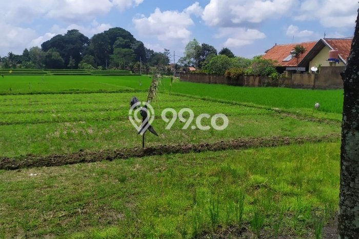 Kavling Tanah Lokasi Strategis di Ubud, Gianyar Disewakan 1200m2 Kavling Tanah Lokasi Strategis di Ubud, Gianyar Disewakan 1200m2