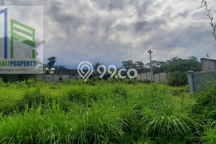 Tanah Investasi Dijual di Boyolali Punya Luas 20200m2 Tanah Investasi Dijual di Boyolali Punya Luas 20200m2