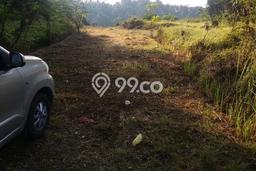 Tanah Dijual Area Strategis di Batuaji Tabanan 6600m2 Tanah Dijual Area Strategis di Batuaji Tabanan 6600m2