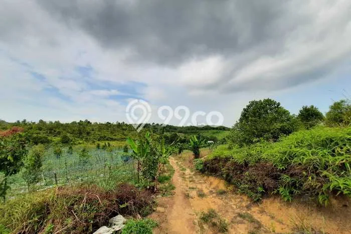 Tanah Lokasi Potensial Kawasan Galang, Luas 200000m², Akses ke Pusat Kota Tanah Lokasi Potensial Kawasan Galang, Luas 200000m², Akses ke Pusat Kota