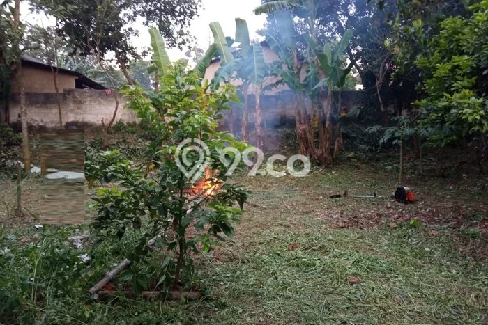 Tanah Kavling untuk Disewa di Gunung Sindur Bogor 200m2 Tanah Kavling untuk Disewa di Gunung Sindur Bogor 200m2