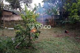 Tanah Kavling untuk Disewa di Gunung Sindur Bogor 200m2 Tanah Kavling untuk Disewa di Gunung Sindur Bogor 200m2
