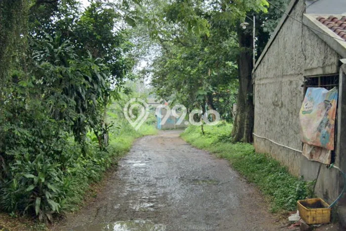 Tanah Kavling untuk Disewa di Gunung Sindur Bogor 200m2 Tanah Kavling untuk Disewa di Gunung Sindur Bogor 200m2