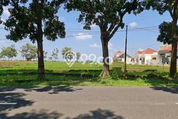 Jarang Ada! Tanah di Karanganyar Punya Luas 1646m2 SHM Jarang Ada! Tanah di Karanganyar Punya Luas 1646m2 SHM