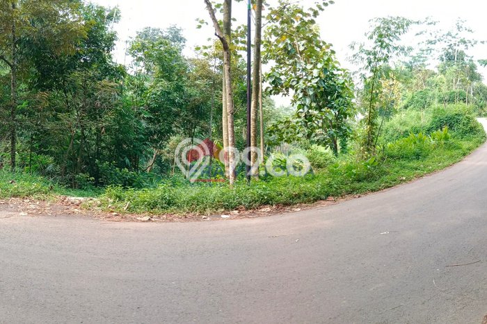 Lahan Dijual Lokasi Purwosari, Pasuruan dengan Luas Tanah 5770m2 dan Status SHM Lahan Dijual Lokasi Purwosari, Pasuruan dengan Luas Tanah 5770m2 dan Status SHM