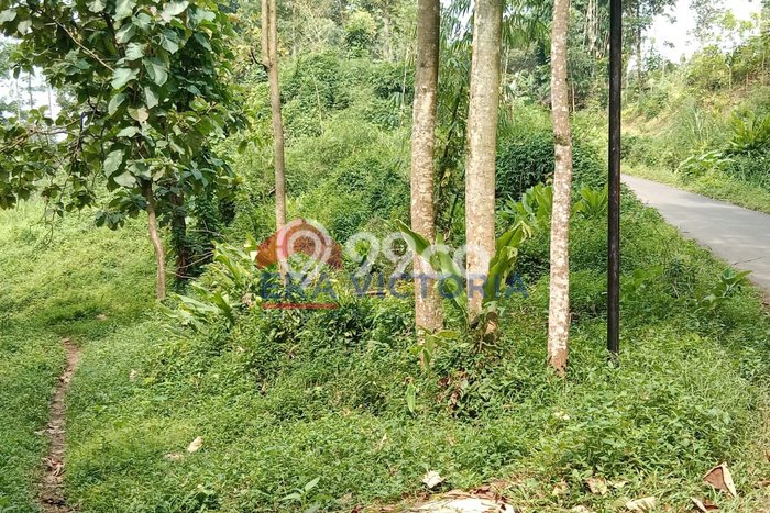Lahan Dijual Lokasi Purwosari, Pasuruan dengan Luas Tanah 5770m2 dan Status SHM Lahan Dijual Lokasi Purwosari, Pasuruan dengan Luas Tanah 5770m2 dan Status SHM