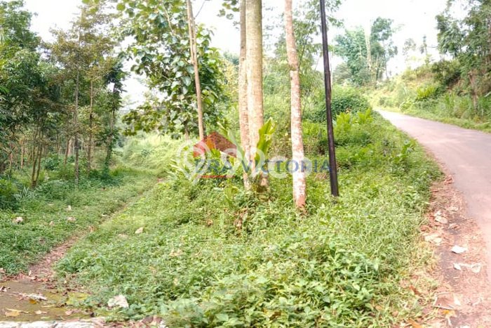 Lahan Dijual Lokasi Purwosari, Pasuruan dengan Luas Tanah 5770m2 dan Status SHM Lahan Dijual Lokasi Purwosari, Pasuruan dengan Luas Tanah 5770m2 dan Status SHM