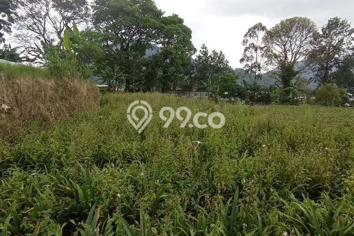 Tanah Dijual Lokasi Cianjur Cianjur SHM Tanah Dijual Lokasi Cianjur Cianjur SHM